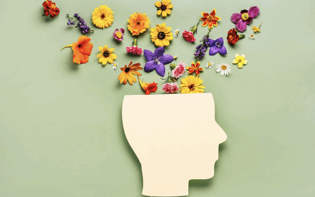 Everyday support, lifelong wellness